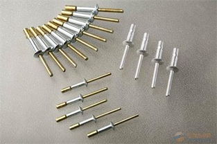 遠大金屬制品 專業拉絲鉚釘批發廠家