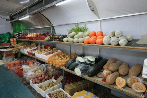 除夕不打烊！海淀北部水鄉市場 鮮貨滿溢，百貨齊全